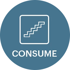 netsuiteConsume netsuiteConsume