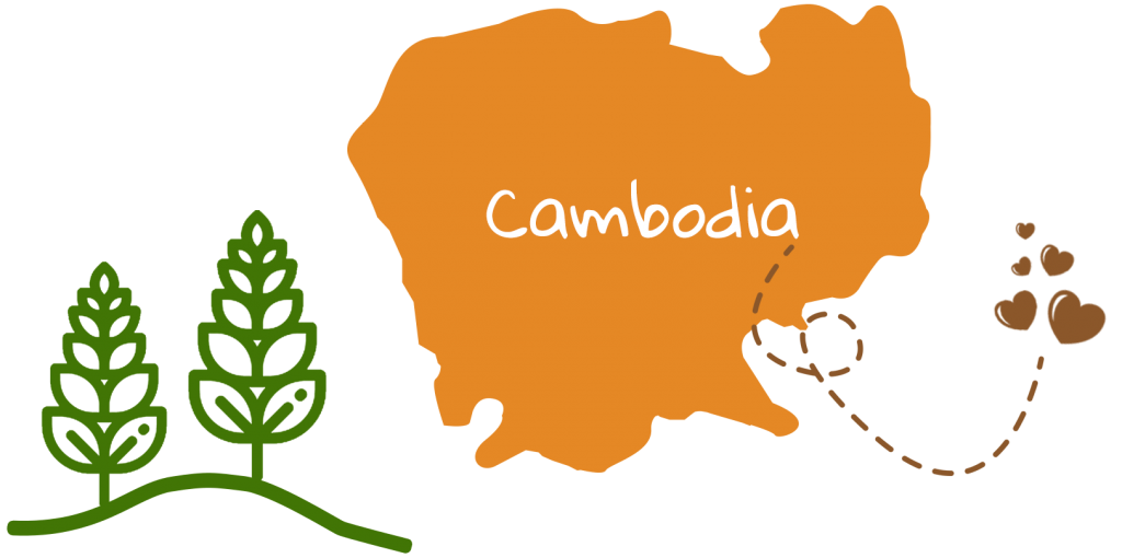 cambodia orange