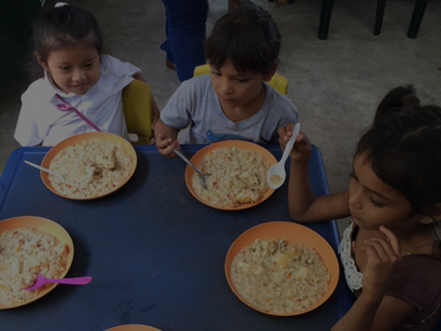 Feeding Programs